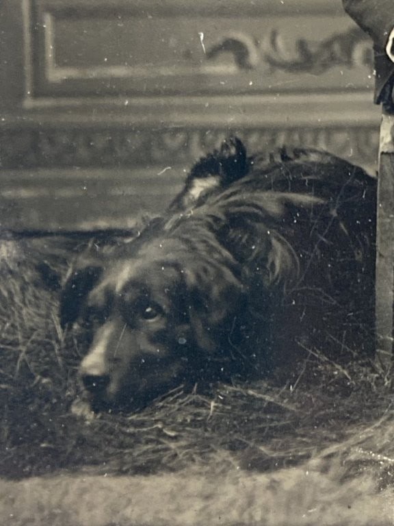 19th-Century Boy with Dog Ferrotype - 4