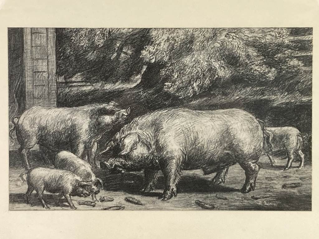 Harry Wickey, Hogs Near a Corncrib, Print - 2