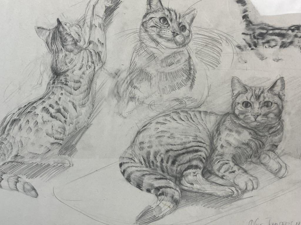 Nick Johnson, Cat Studies, Drawing - 2
