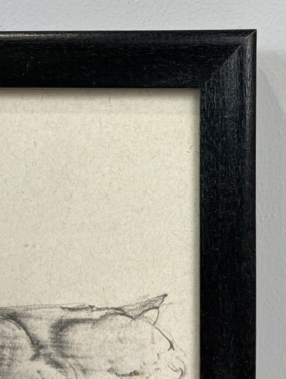 Nick Johnson, Cat Studies, Drawing - 4