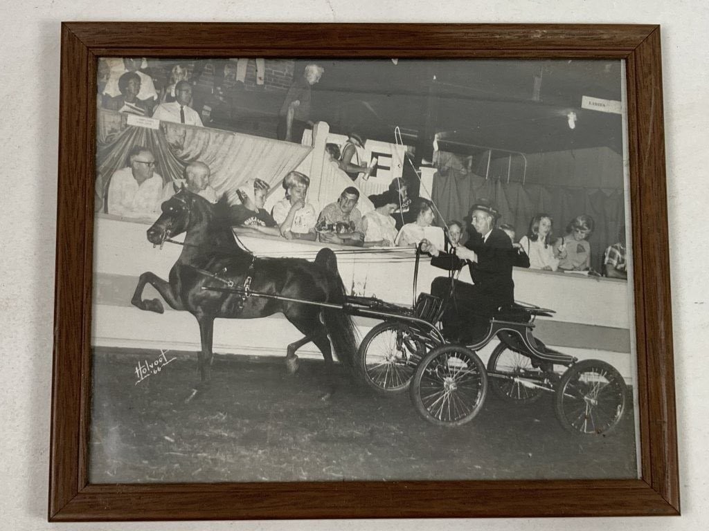 Harold Launspach and John Holvoet Show Horse Photographs - 2