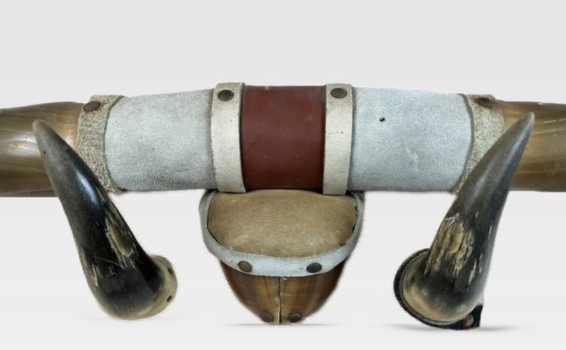 Steer Horn Wall Art - 2