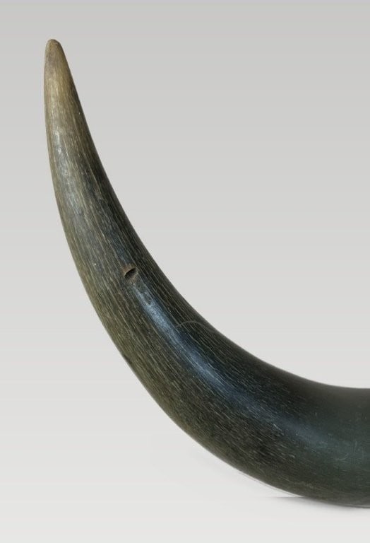 Steer Horn Wall Art - 3