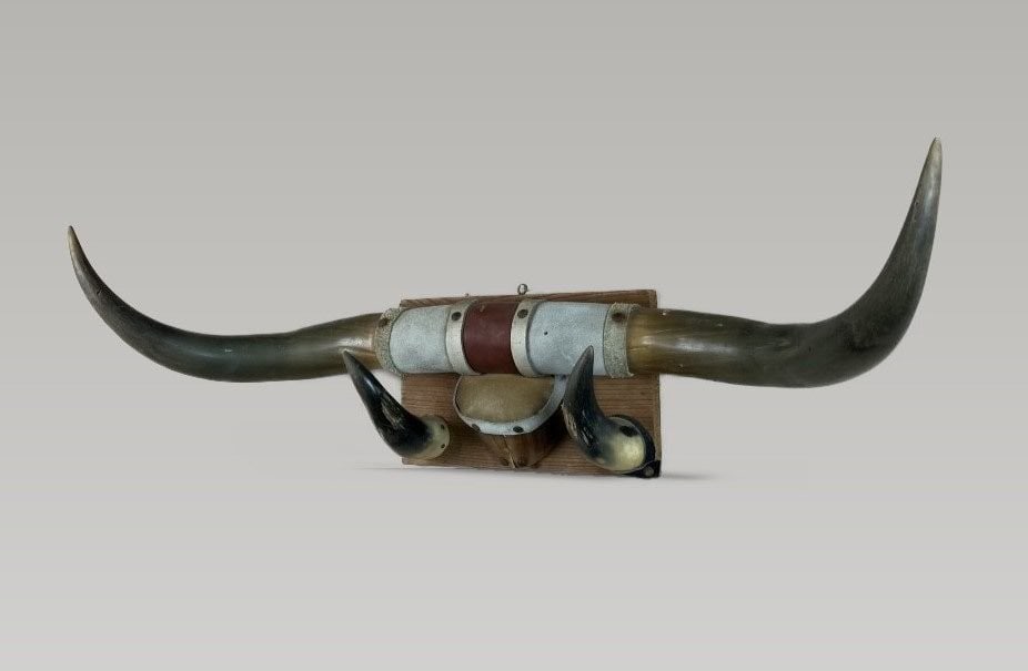 Steer Horn Wall Art - 4