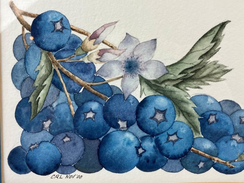 Set of Fruit Still Life Watercolor Paintings - 10