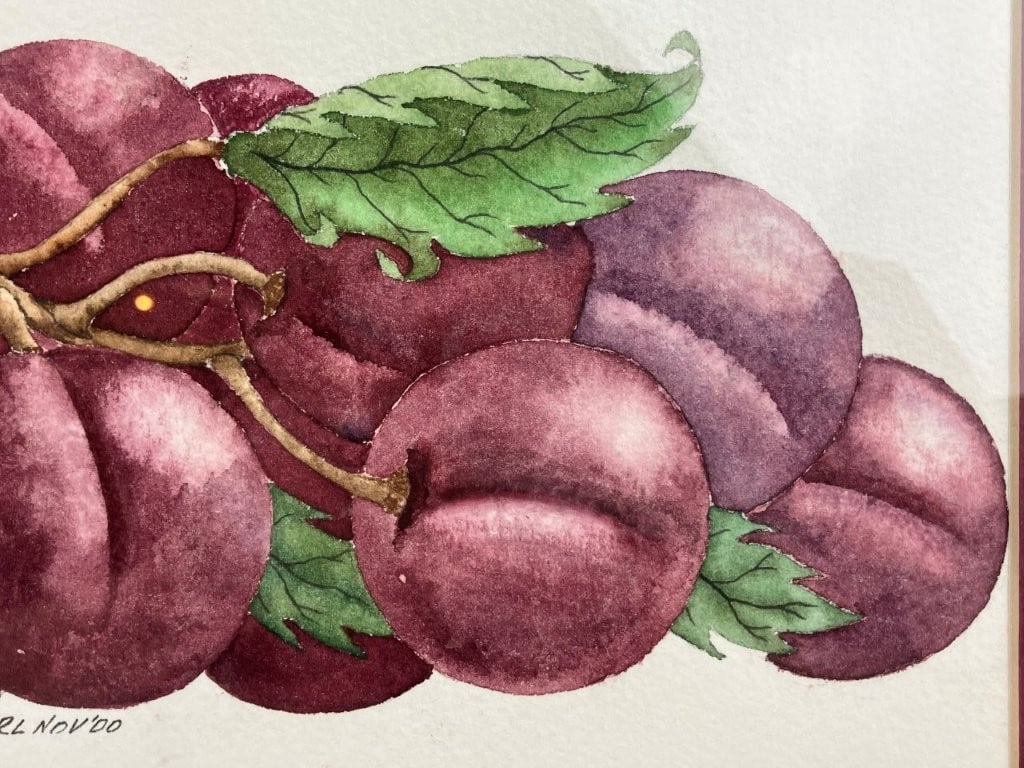Set of Fruit Still Life Watercolor Paintings - 12