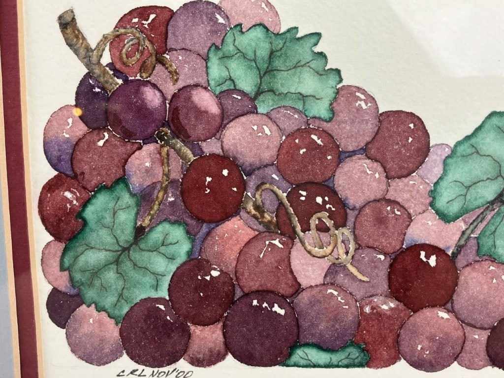 Set of Fruit Still Life Watercolor Paintings - 16