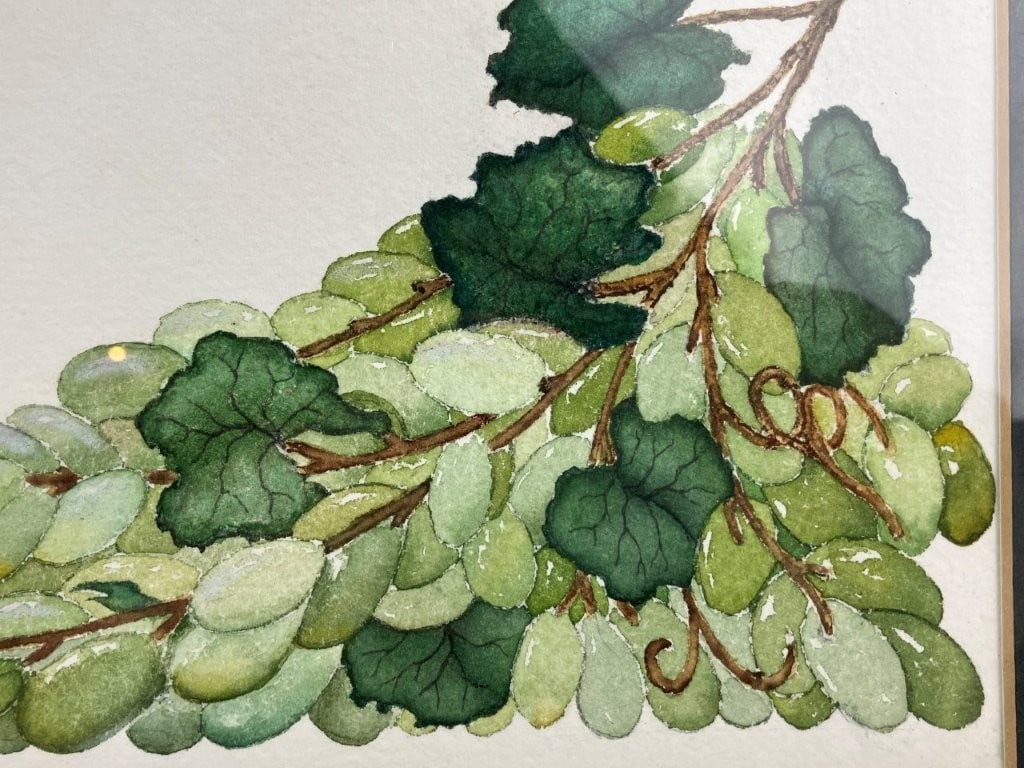 Set of Fruit Still Life Watercolor Paintings - 6