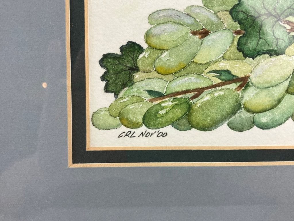 Set of Fruit Still Life Watercolor Paintings - 7