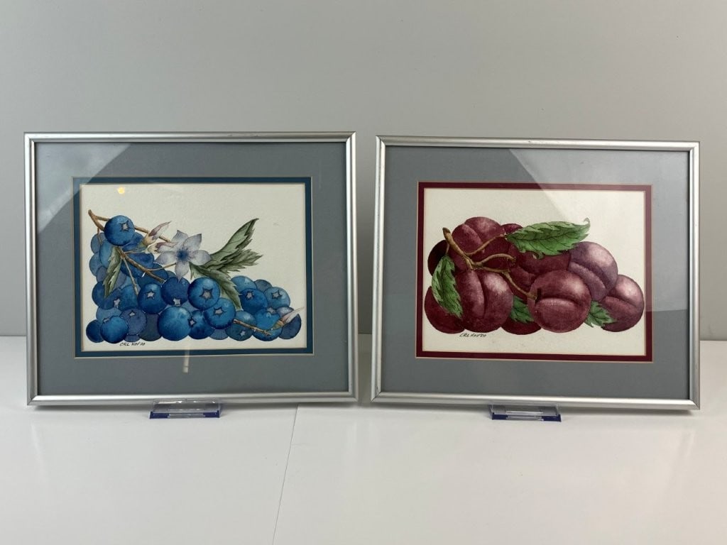 Set of Fruit Still Life Watercolor Paintings - 9