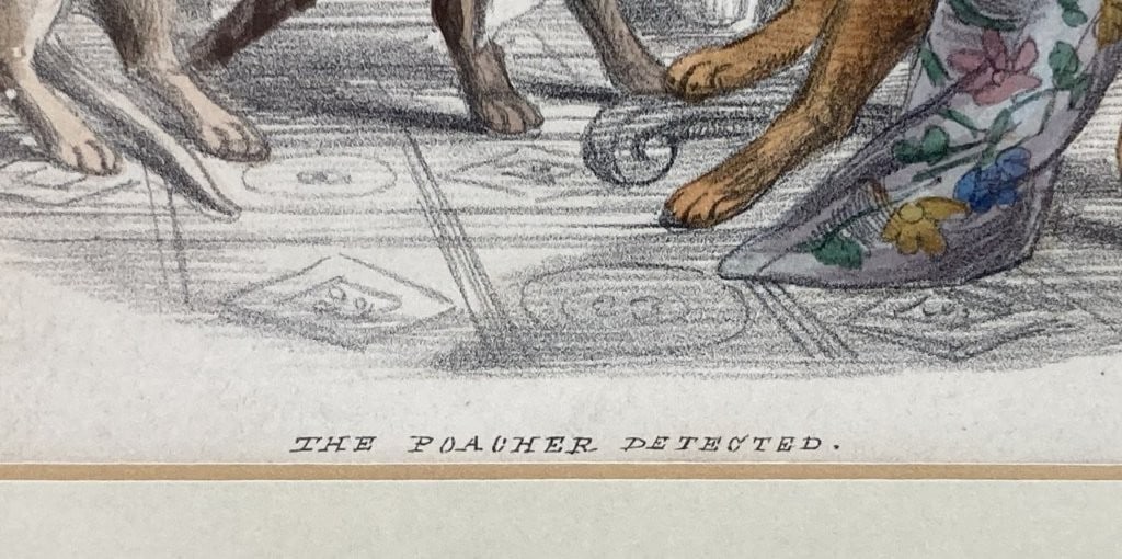 19th-Century, Cat, Hand-Colored Lithographs - 7