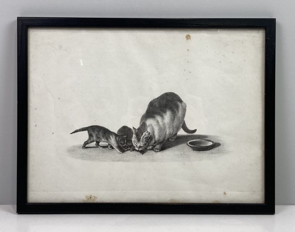 Three Cat Prints Including Samuel Howitt Etching and Louis Wain - 2