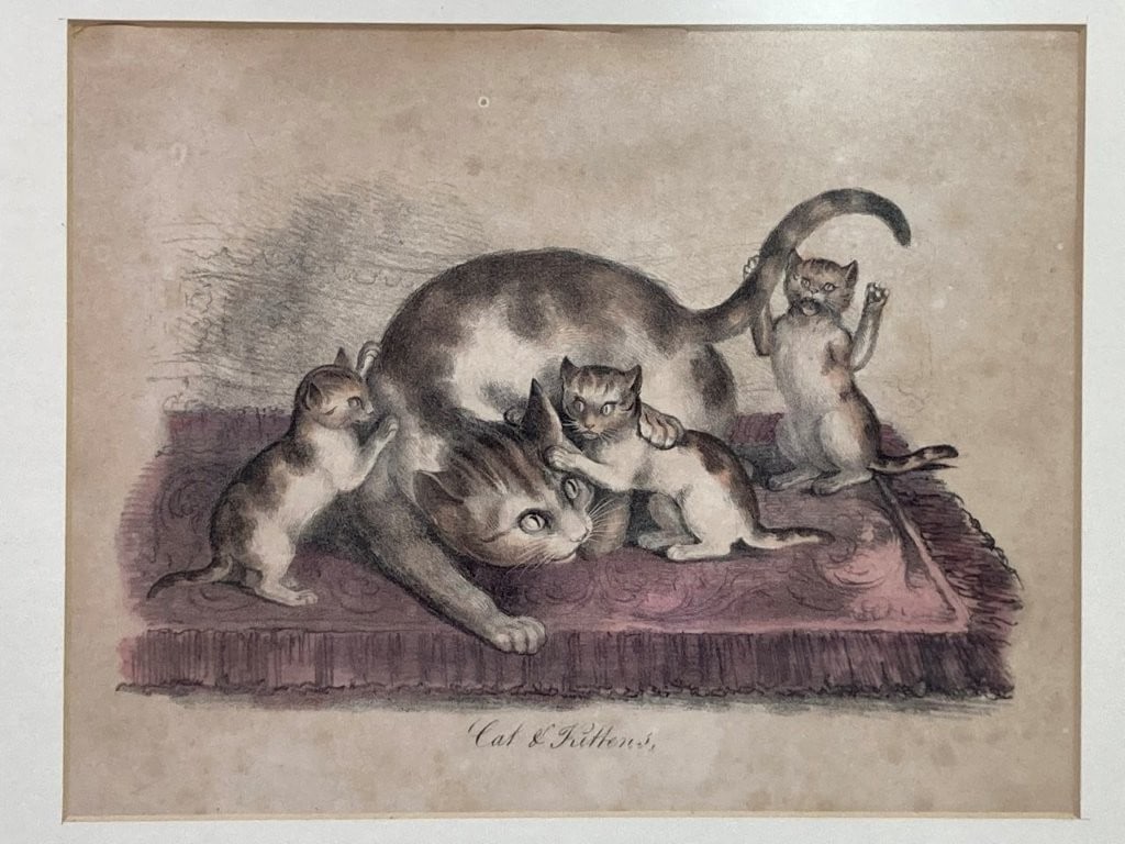 19th-Century, Cat and Kittens, Hand-Colored Lithograph - 2