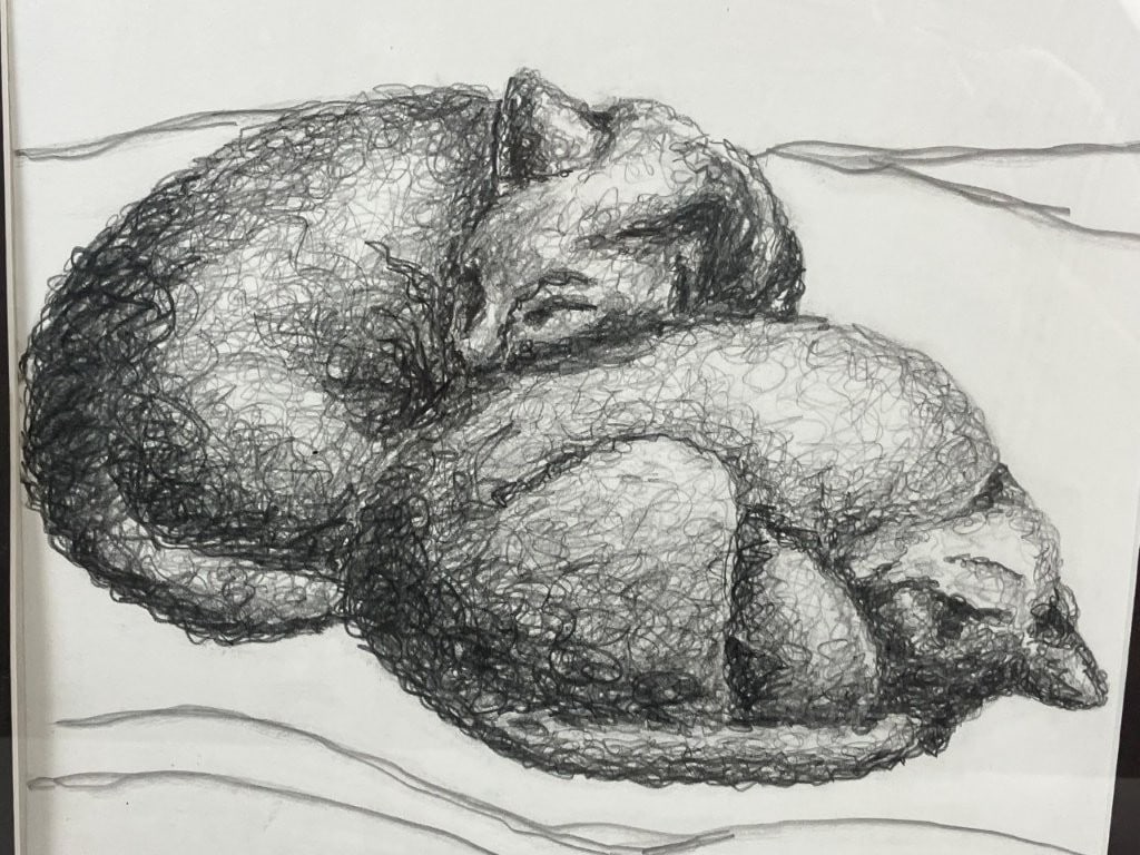 Signed, Cat Study, Drawing - 2