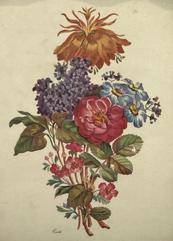 Two Botanical Prints in Criss-Cross Frames - 3