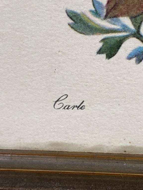 Two Botanical Prints in Criss-Cross Frames - 4