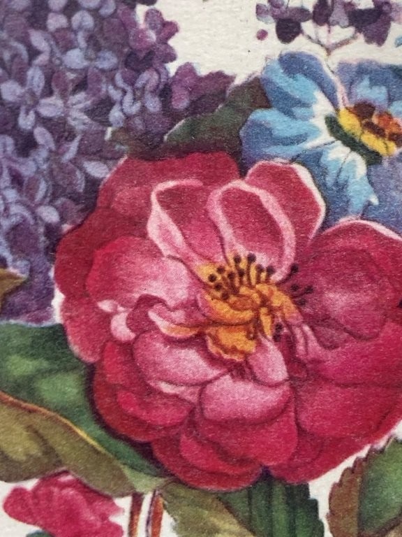 Two Botanical Prints in Criss-Cross Frames - 5
