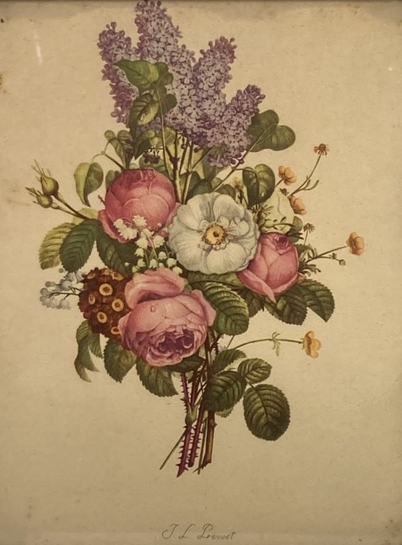 Two Botanical Prints in Criss-Cross Frames - 9