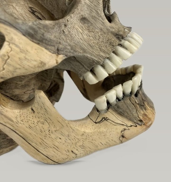 Modernist Carved Wood Skull - 8