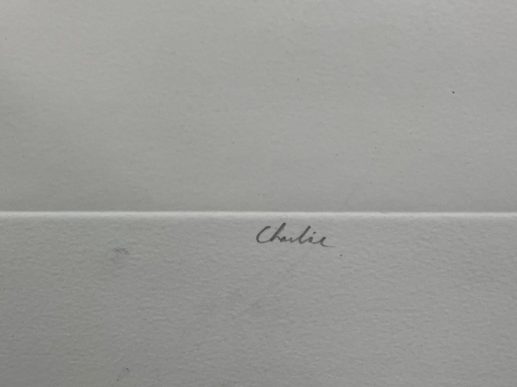 Robert Tilleard, Charlie, Etching - 4