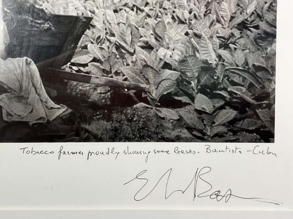 Ernesto Bazan, Tobacco Farmer, Silver Gelatin Print - 3