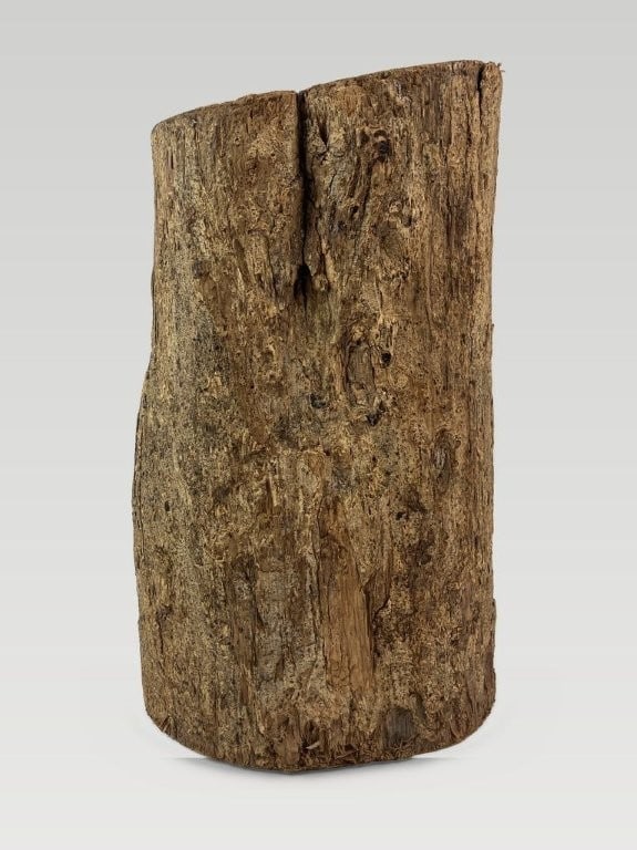 East African Ebony Wood Bust - 4