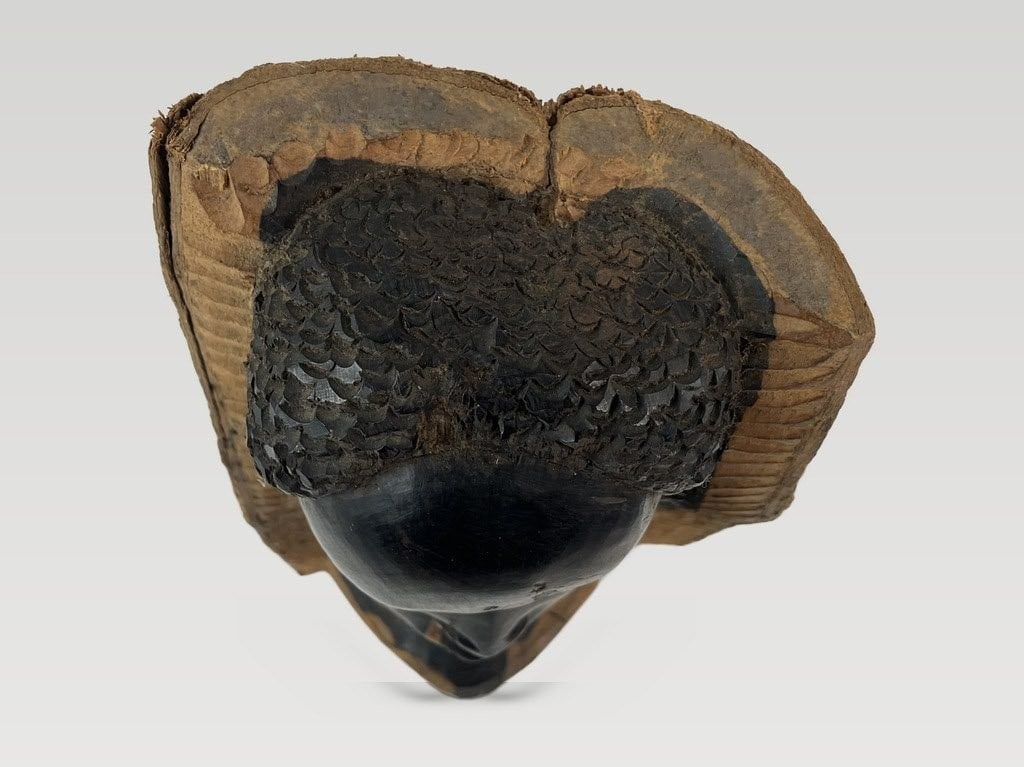 East African Ebony Wood Bust - 6