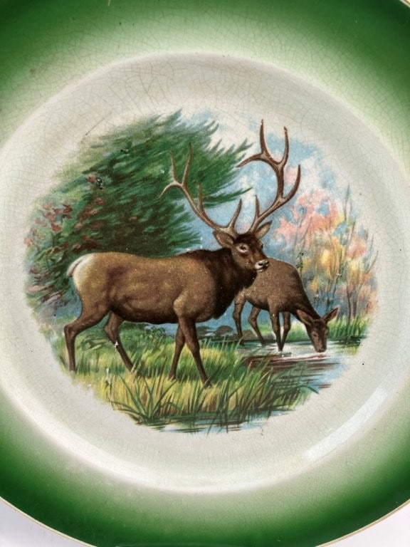 Decorative Plate Assortment - 16