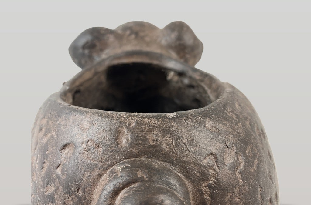 Pig Planter - 5