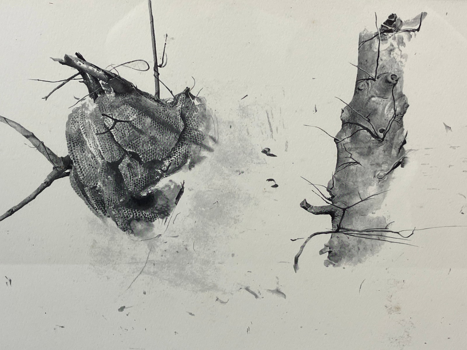 Andrew Wyeth Four Seasons Print - 2