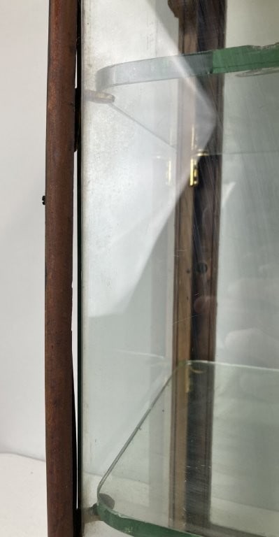 19th Century Store Display Cabinet - 8