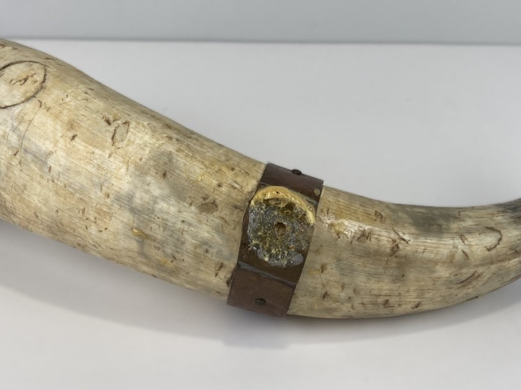 Steer Horn Powder Horn - 4