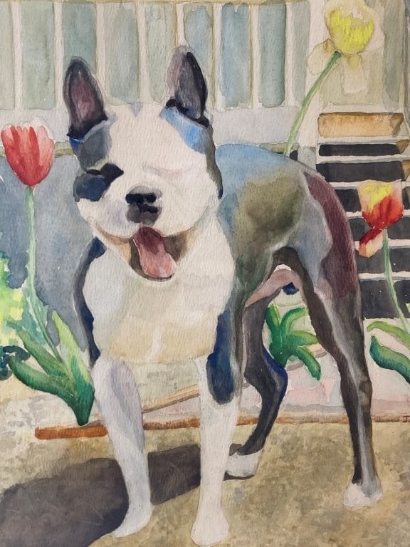 Mid-Century Modern, Boston Terrier, Watercolor - 2