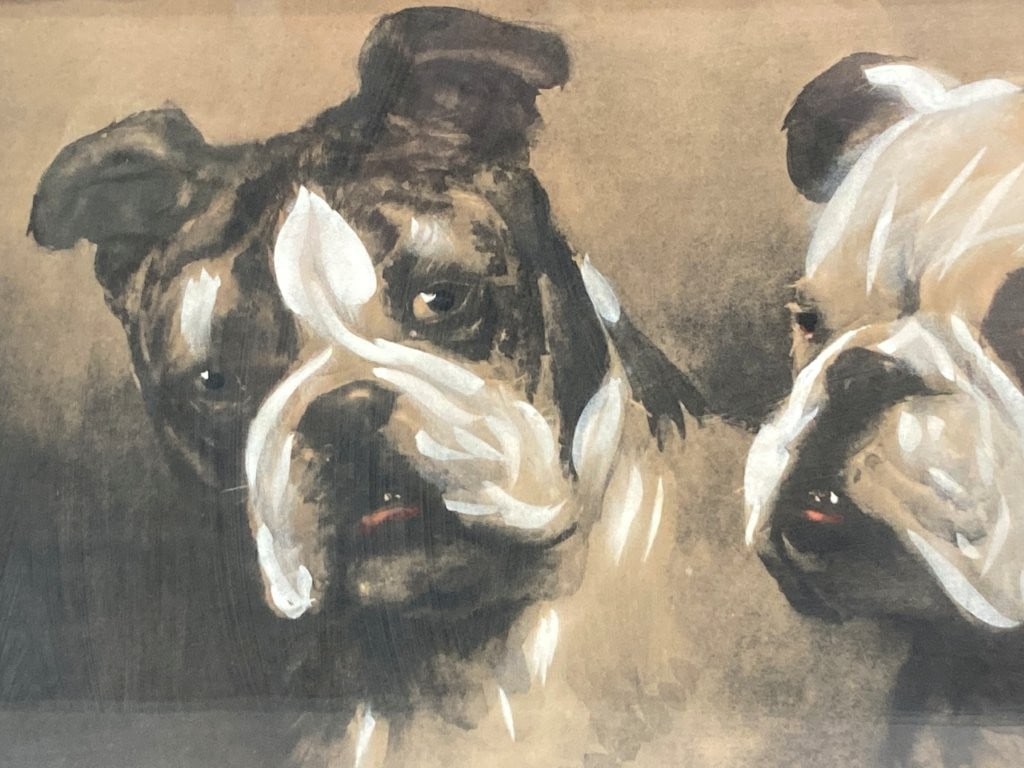 19th-Century,Cecil Aldin, Bulldog, Hand-Colored Lithograph - 2