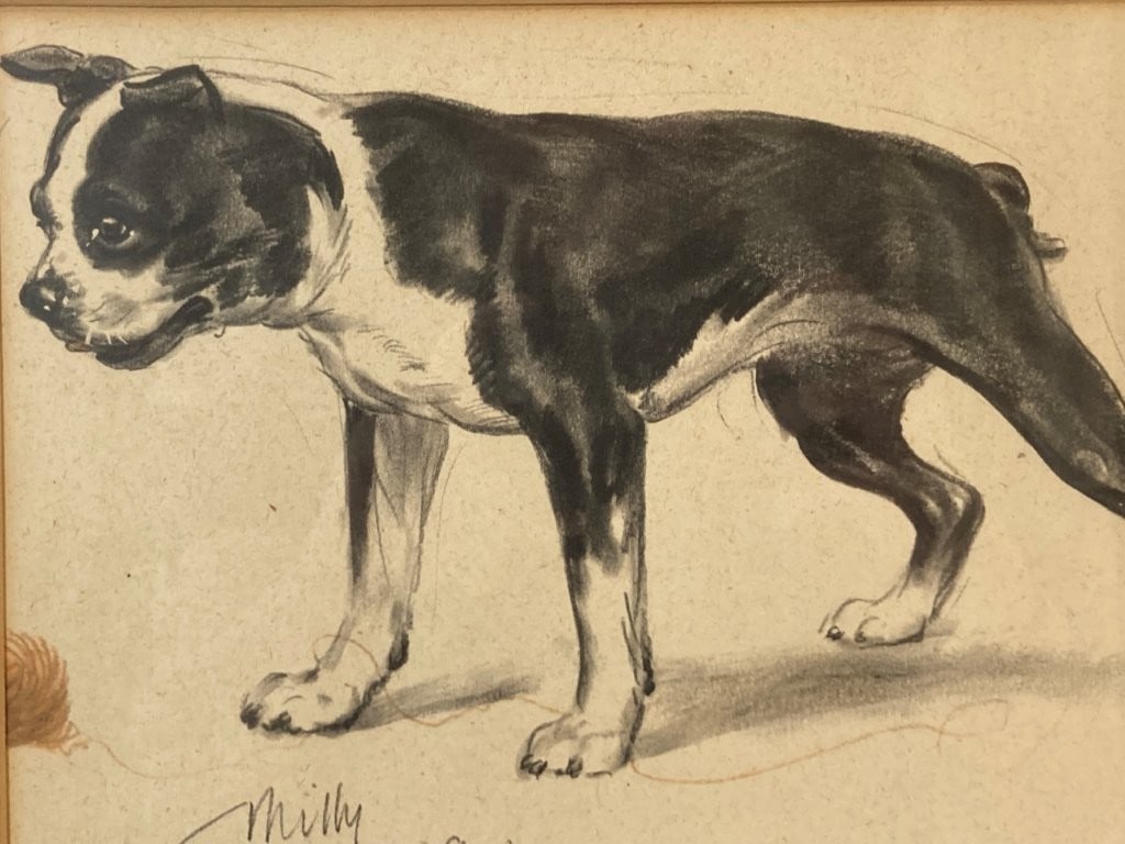 Diana Thorne Milly and Her Child Boston Terrier Print - 2