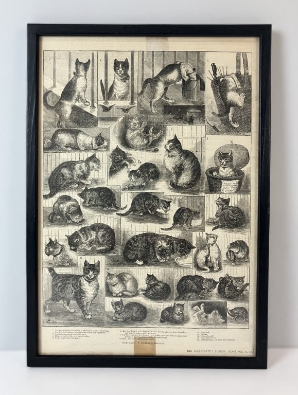 19th-Century Cat London News Lithographs, Including Louis Wain - 2