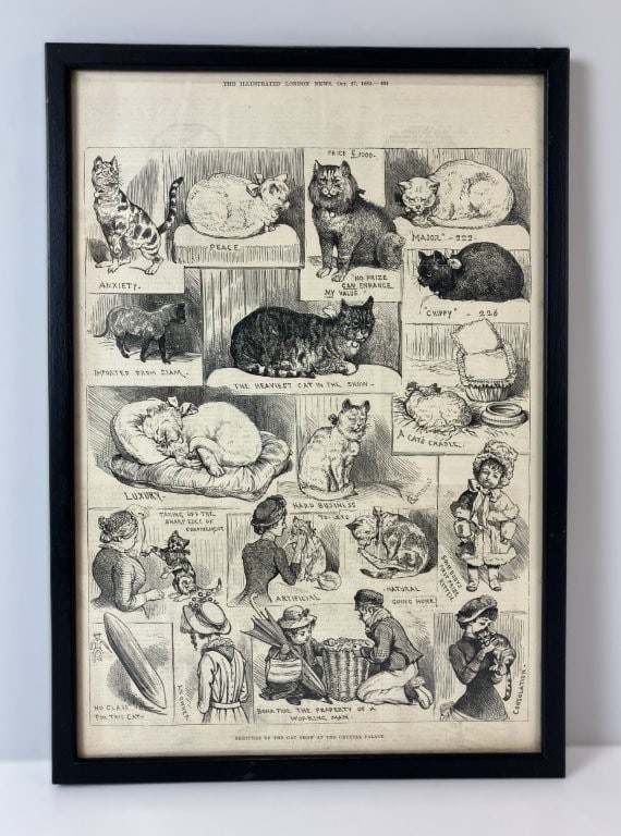19th-Century Cat London News Lithographs, Including Louis Wain - 5