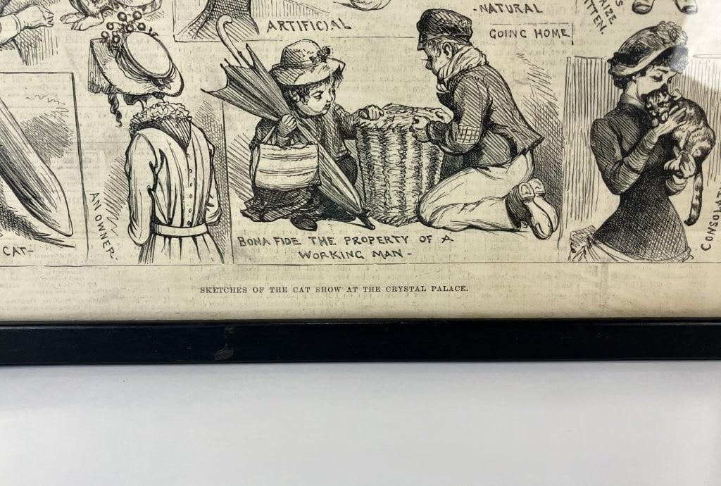 19th-Century Cat London News Lithographs, Including Louis Wain - 7