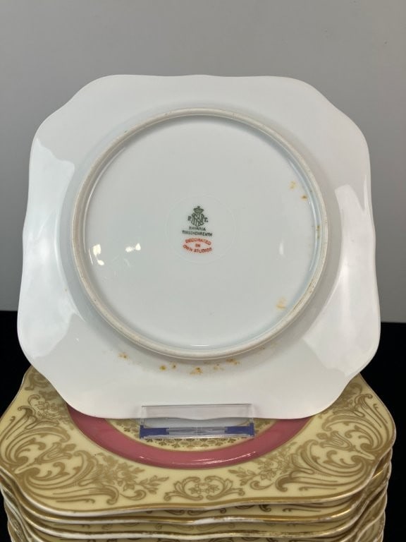 Tirschenreuth Bavarian Porcelain Hand-Decorated Plates - 5
