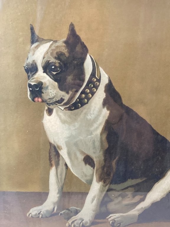 19th-Century, Boston Terrier, Oleograph - 2