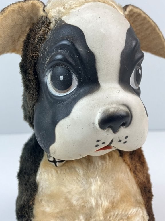 Rushton Star Creation Boston Terrier - 2