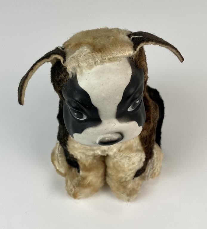 Rushton Star Creation Boston Terrier - 3