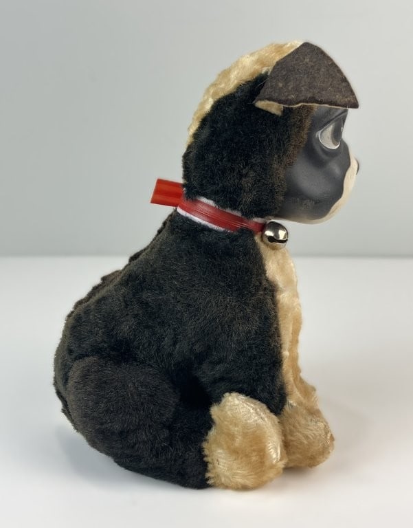 Rushton Star Creation Boston Terrier - 4