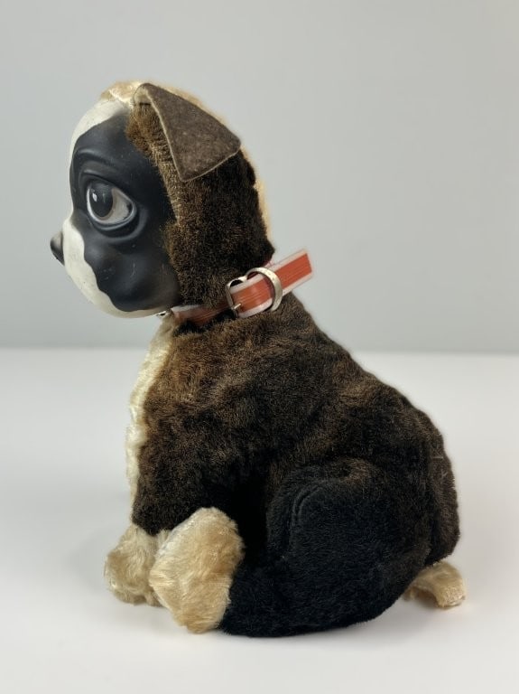 Rushton Star Creation Boston Terrier - 6