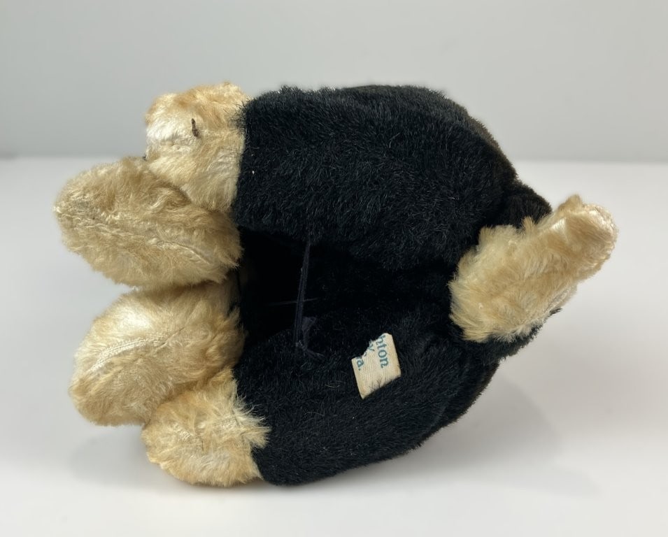 Rushton Star Creation Boston Terrier - 7