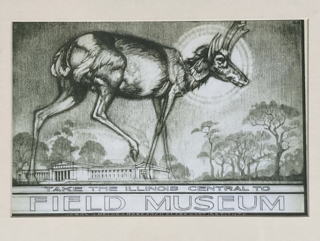 Assortment of Zoo Animal Prints - 3