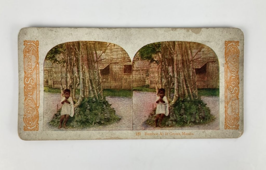 Early 20th Century Stereoview Cards - 4
