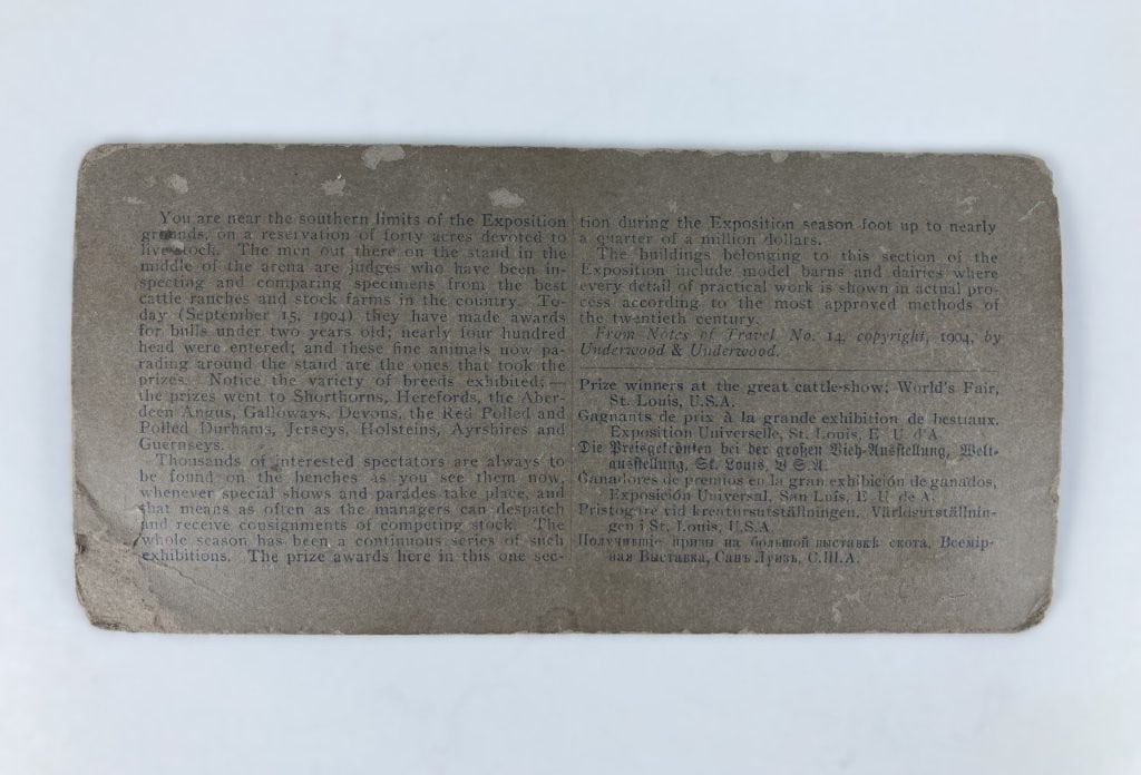 Early 20th Century Stereoview Cards - 7