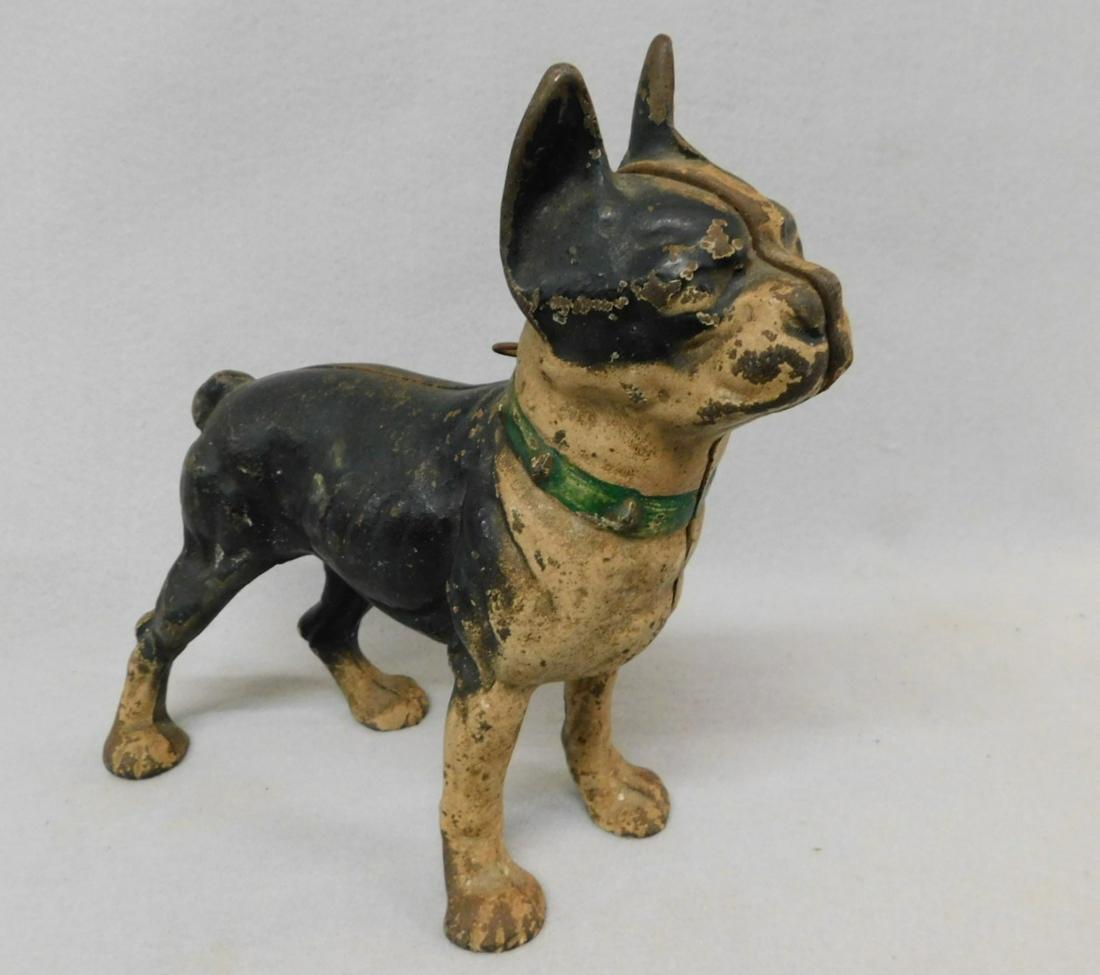 Iron Boston Bulldog Doorstop: Iron Boston Bulldog Doorstop w/Iron Ring Collar (no strap) in VG Cond. - 10in.Lx 9in.H.
