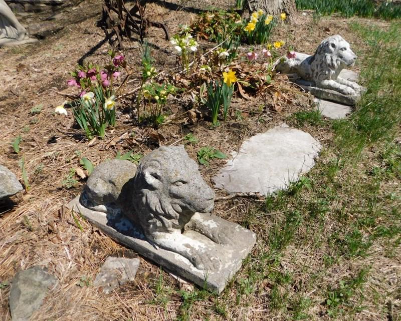 Lot of 3 Small Reclining Concrete Lions: Lot of 3 Small Reclining Concrete Lions in Gd. Cond. - 24in.l.x14in.H., 17in.Lx10in.H. & One Smaller
